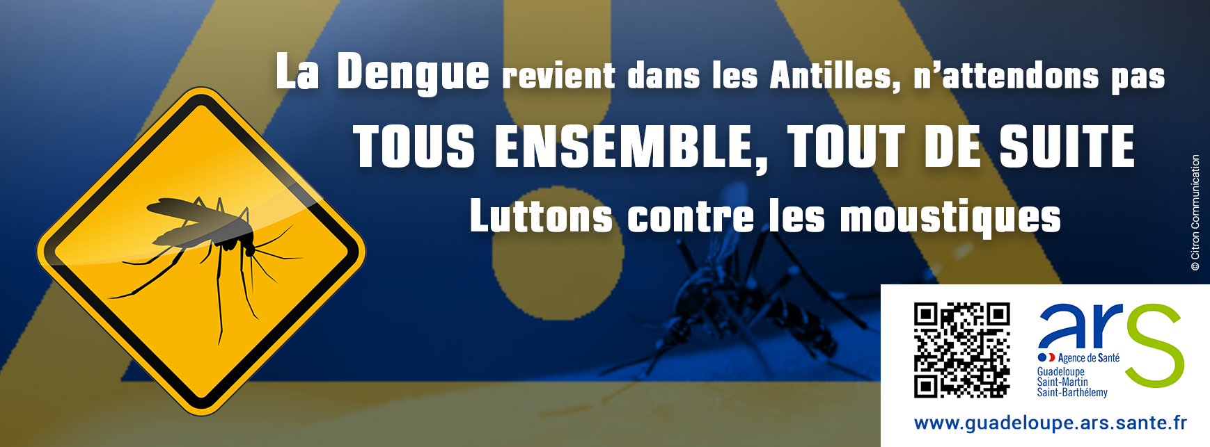 Visuel alerte Dengue