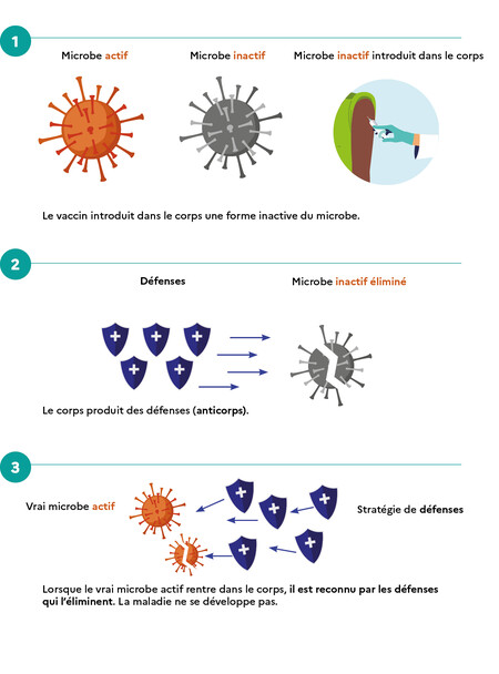 big-ars-hpv-depliant-100325.jpg